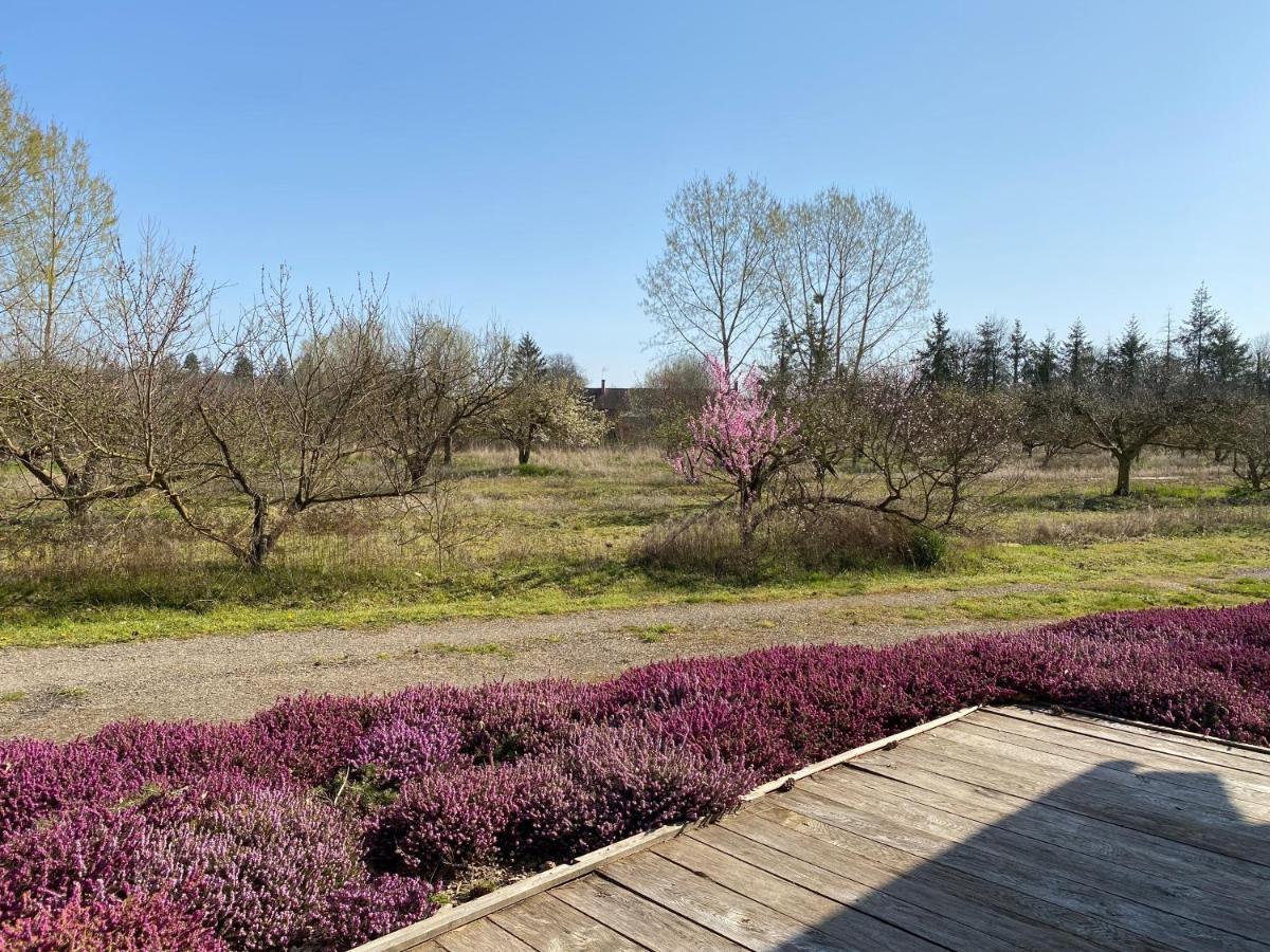 Le Gite De L'Etoile Du Jour Neung-sur-Beuvron エクステリア 写真